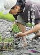 Cover of 青松ê種田筆記