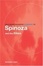 Cover of "Routledge Philosophy GuideBook to Spinoza and The Ethics"