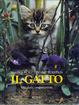Cover of Il gatto. Vita, istinti, comportamenti