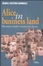 Image of Alice in business land. Diventare leader rimanendo donne