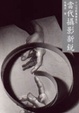 Cover of 當代攝影新銳