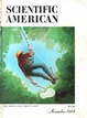 Cover of Scientific American Vol 251, No 5