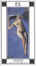 Cover of L'immacolata concezione