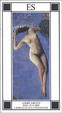Cover of L'immacolata concezione