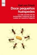 Cover of Doce pequeños huéspedes