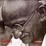 Cover of Ghandi