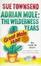 Cover of Adrian Mole: The Wilderness Years