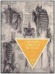 Cover of La fábrica de avispas
