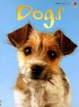 Cover of Dogs (Usborne Beginners