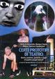 Cover of Certi prototipi di teatro