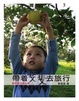 Cover of 帶著斐斐去旅行