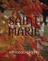 Cover of Saint Marie destini incrociati
