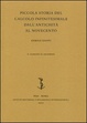Cover of Piccola storia del calcolo infinitesimale dall'antichità al Novecento