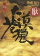 Cover of 大漠苍狼 02