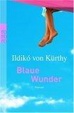 Cover of Blaue Wunder