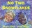 Cover of "No Two Snowflakes"