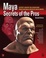 Cover of 'Maya Secrets of the Pros'