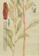 Cover of 居酒屋閒話