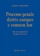 Cover of Processo penale, diritto europeo e common law