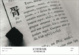 Cover of 文字的眾母親
