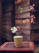 Cover of 花賞