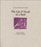 Cover of The Life and Death of a Book