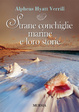 Cover of Strane conchiglie marine e loro storie