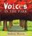Cover of "Voices in the Park"