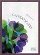 Cover of Caleidoscopio