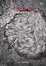 Cover of Il latte versato