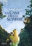 Cover of La casa delle scimmie