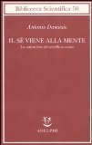 More about Il sé viene alla mente