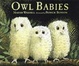 Cover of Owl Babies