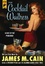 Cover of The Cocktail Waitress