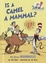 Cover of "Is a Camel a Mammal?"