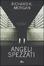 Cover of Angeli spezzati