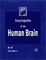 Cover of Encyclopedia of the Human Brain, Four-Volume Set