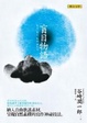Cover of 盲目物語