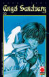 Cover of Angel Sanctuary 22