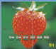 Cover of 好好吃的草莓