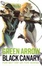 Cover of "Green Arrow/Black Canary"
