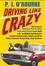 Cover of Driving Like Crazy