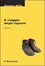 Cover of "Il viaggio degli inganni"