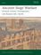 Cover of "Ancient Siege Warfare"