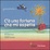 Cover of C'è una fortuna che mi aspetta
