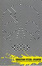 Cover of Splinter