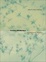 Cover of "Lorine Niedecker"