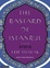 Cover of The Bastard of Istanbul