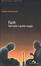 Cover of Flash