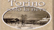 Cover of Torino sotto la neve